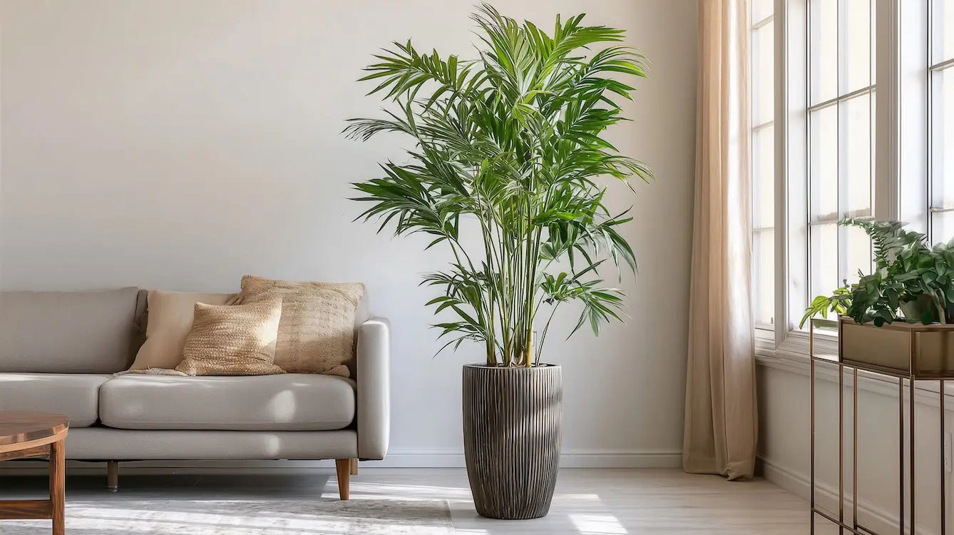 ten best pet friendly plants feature image